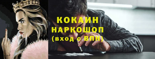 мдпв Дмитриев