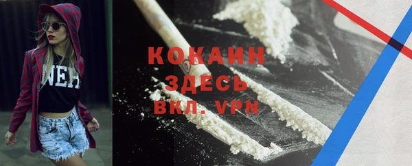 дмт Гусь-Хрустальный