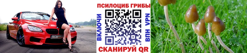 Галлюциногенные грибы ЛСД  Каменск-Уральский 
